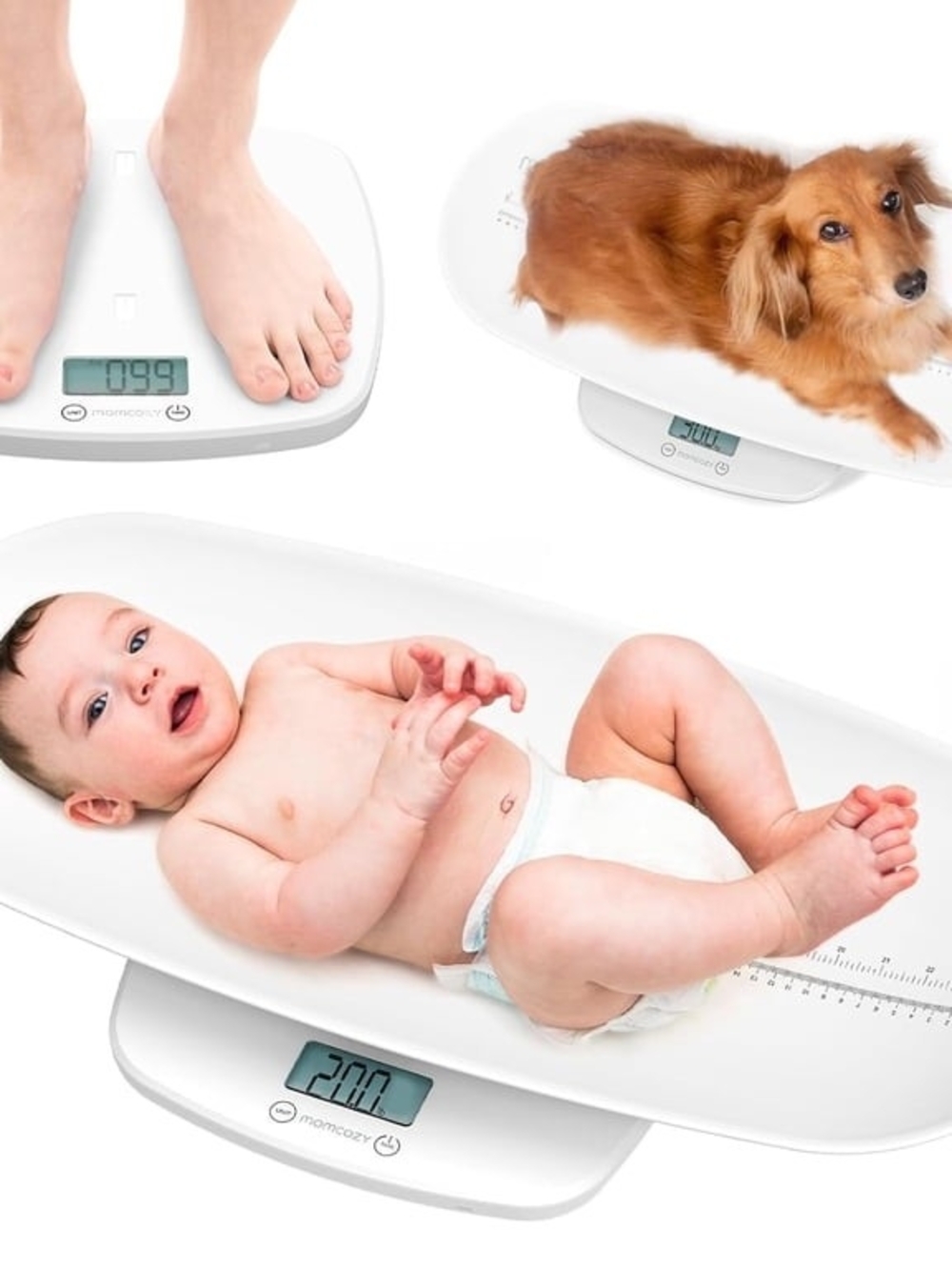 Multi-Use Weighting Scale